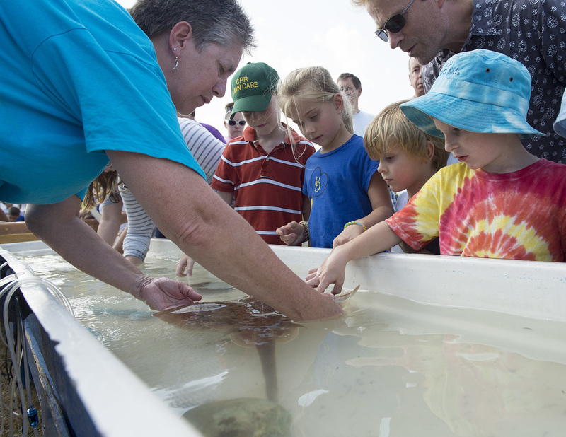 The touch tank is a popular stop. Peggy McCloskey with Marine Education, Research and Rehabilitation shares information about a skate with (l-r) Tim Merrill, Julietta Claessens, Timothy Claessens, Luc Claessens and Henry Merrill. BY DENY HOWETH